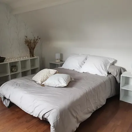 Les Brassins Du Dillon *