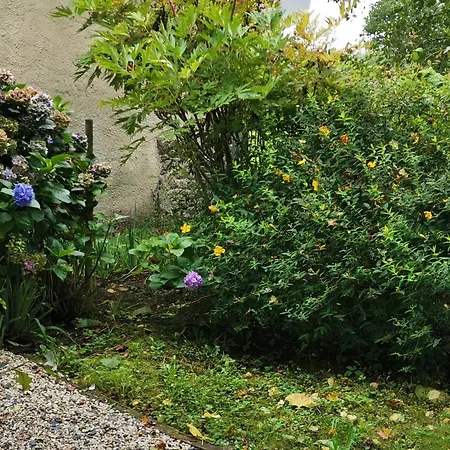 Les Brassins Du Dillon Holiday home Moyon