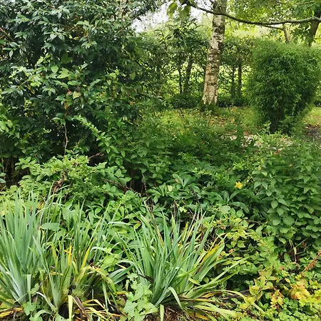 Les Brassins Du Dillon * Moyon