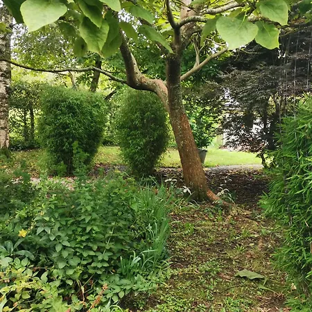 Les Brassins Du Dillon