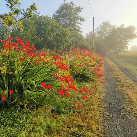 Les Brassins Du Dillon بيت للعطل Moyon