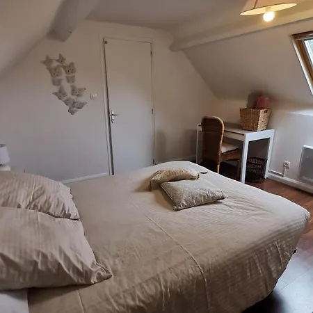 Les Brassins Du Dillon Moyon