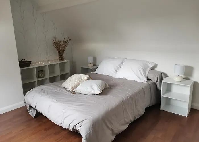 Les Brassins Du Dillon *