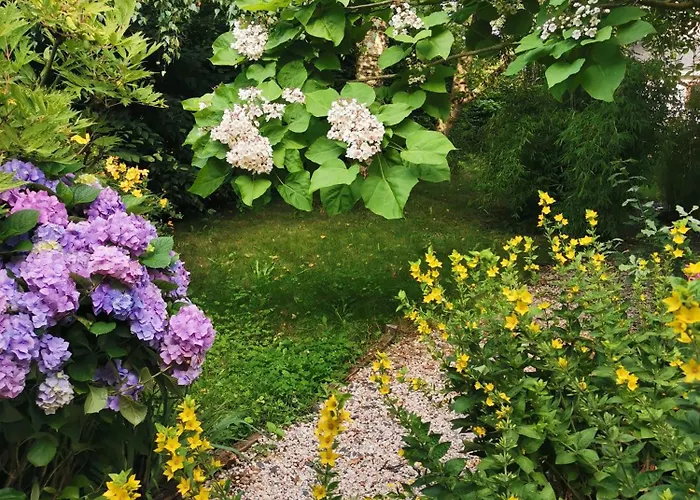 Les Brassins Du Dillon