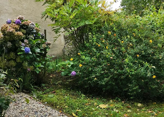 Les Brassins Du Dillon Holiday home Moyon