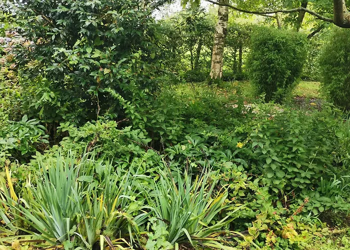 Les Brassins Du Dillon * Moyon