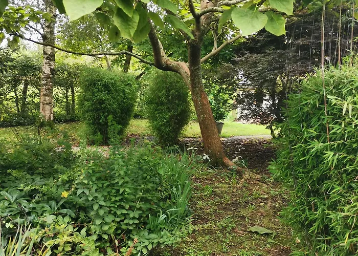 Les Brassins Du Dillon