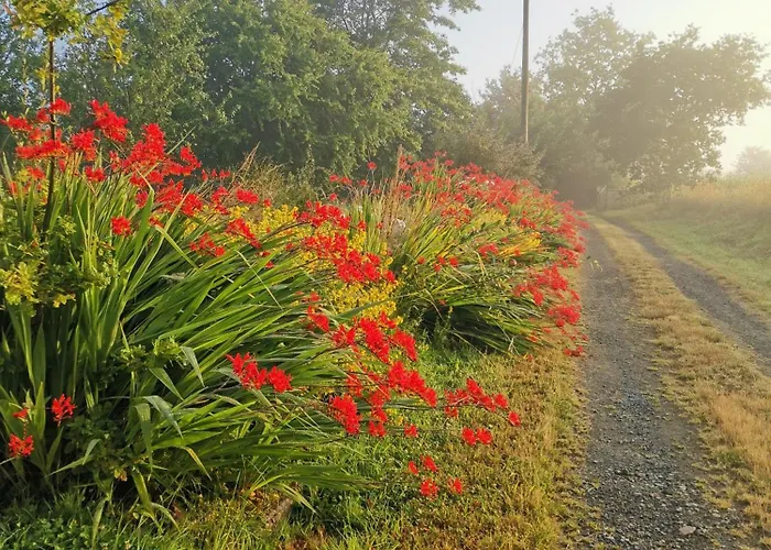 Les Brassins Du Dillon Holiday home Moyon