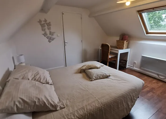 Les Brassins Du Dillon Moyon